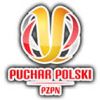 PUCHAR P[OLSKI LOGO[5]